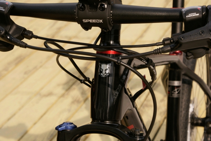 碳纤维4999,碳纤维车最便宜的车型