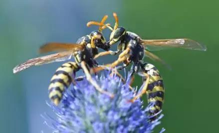 六岁孩子脑筋急转弯大全,睡前陪孩子玩脑筋急转弯