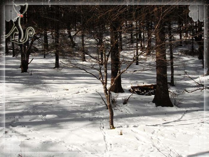 2015游云南玉龙雪山 (昆明玉龙雪山之旅)