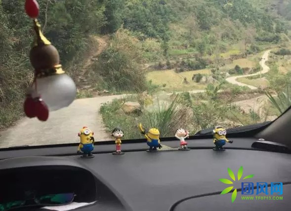 团风深山古稀老人的板栗梦.....