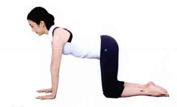 3个简单动作修饰腿部线条,帕梅拉10分钟腿部拉伸拉长腿部