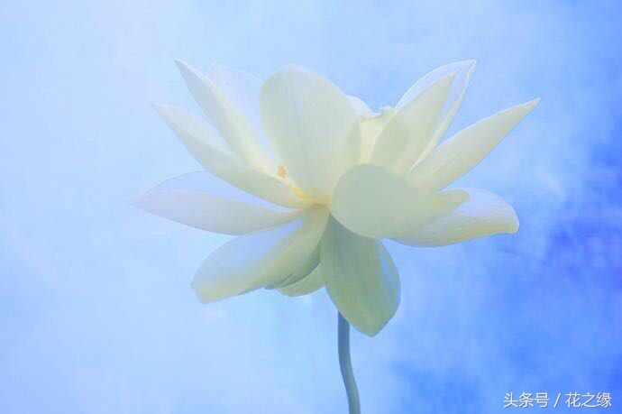 有心跳的生活，美景尽在眼下