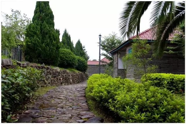 福建海边旅游推荐民宿,福建小木屋