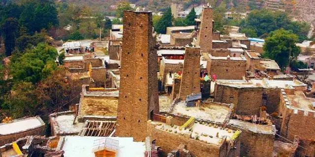 奇葩牧场|不养牛不养羊,居然养这个?