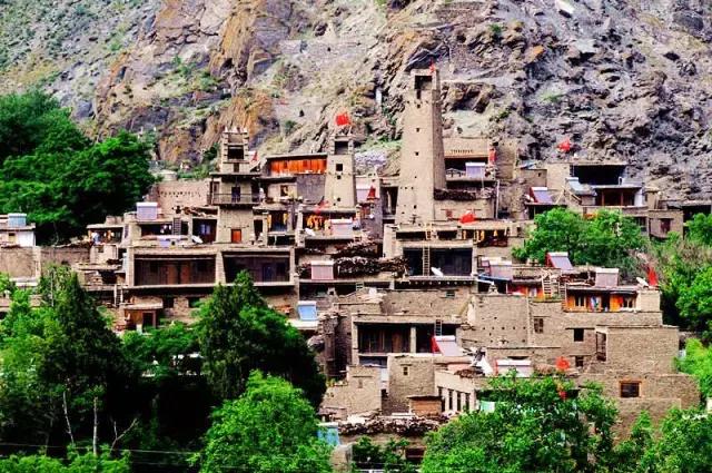 奇葩牧场|不养牛不养羊,居然养这个?