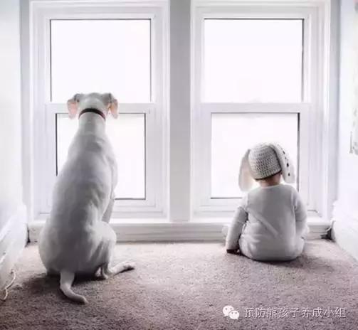 晒娃狂魔,论如何正确晒娃