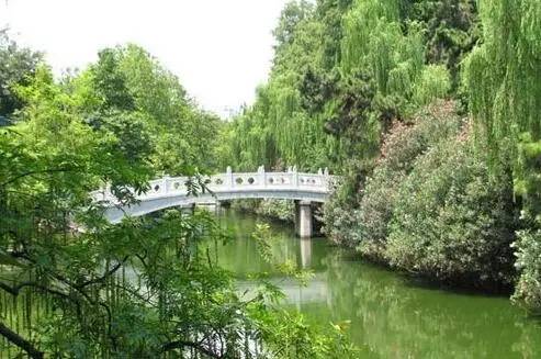 武汉十大漂亮女神,武汉最漂亮的十个女人