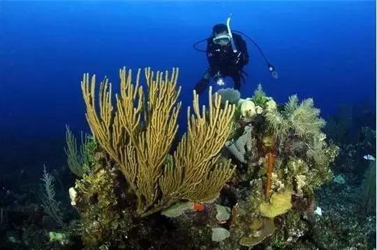 伯利兹旅游视频,伯利兹攻略