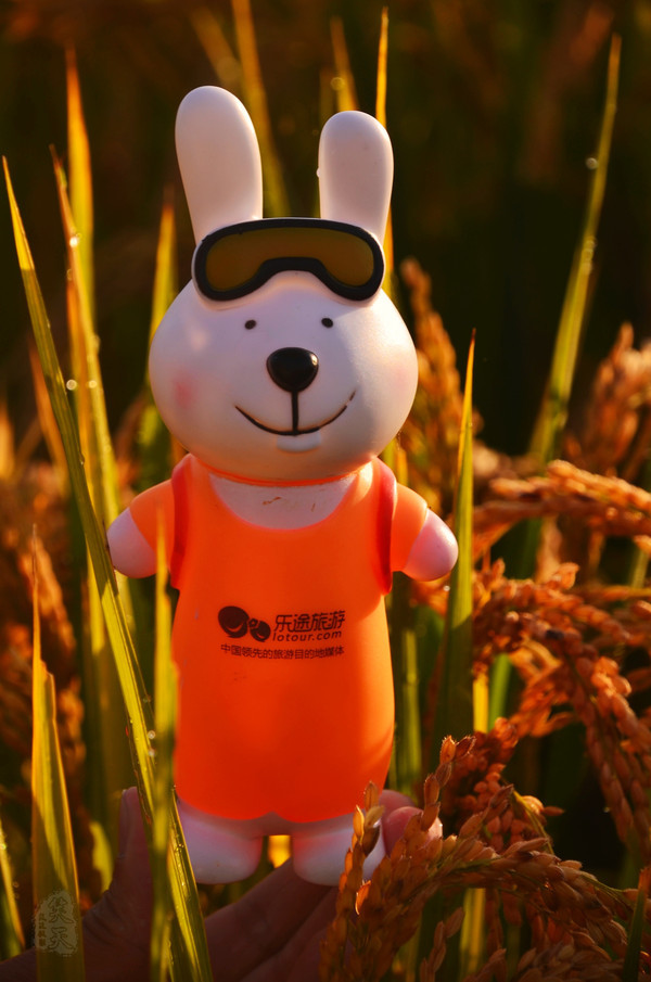 吉林市神农庄园视频,吉林神农庄园温泉度假村