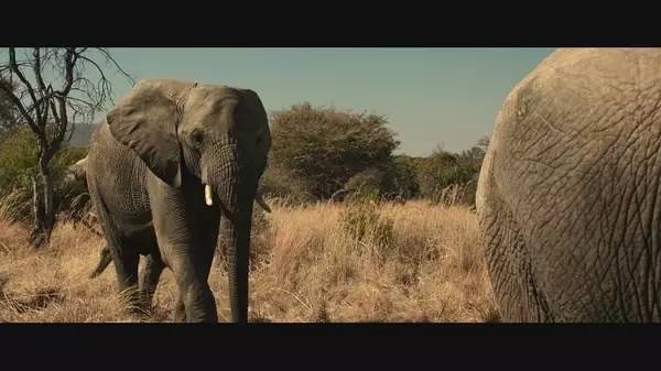 麻烦给这部电影寄十万包去污粉！