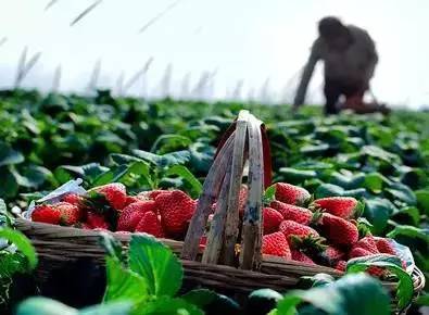 电商进农村怎么做,电商进农村服务平台