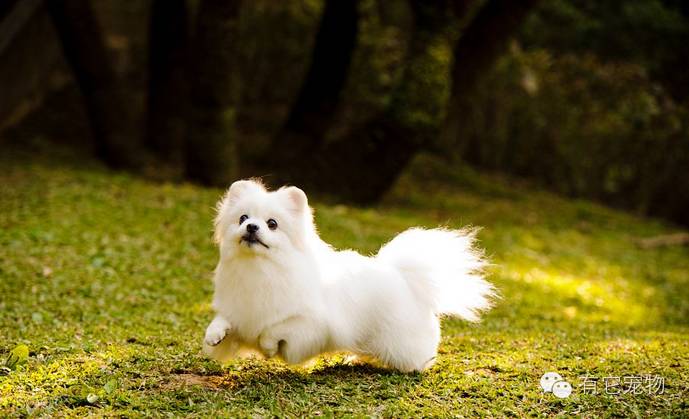 明明可以靠脸吃饭偏偏要靠球技,明明可以靠脸吃饭却偏偏要靠实力