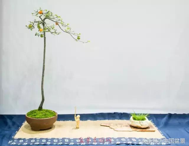 哪些野草适合微型盆景,小品盆景和微型盆景有区别吗