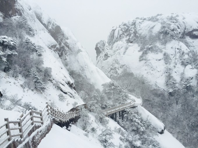 九华山黄山西递宏村纯玩四日游,黄山宏村经典四日游附详细攻略
