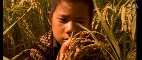 凶手样子,凶手的样子简介