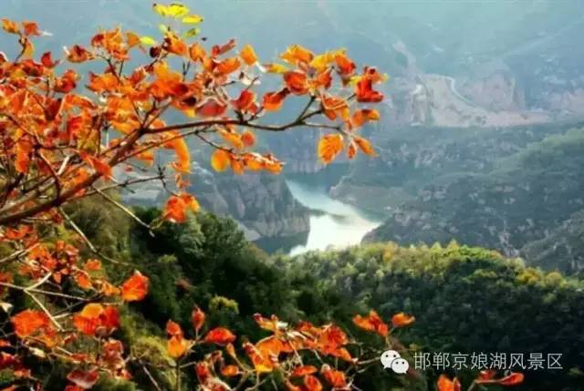 京娘湖风景区红叶丰收季联票,邯郸京娘湖红叶节