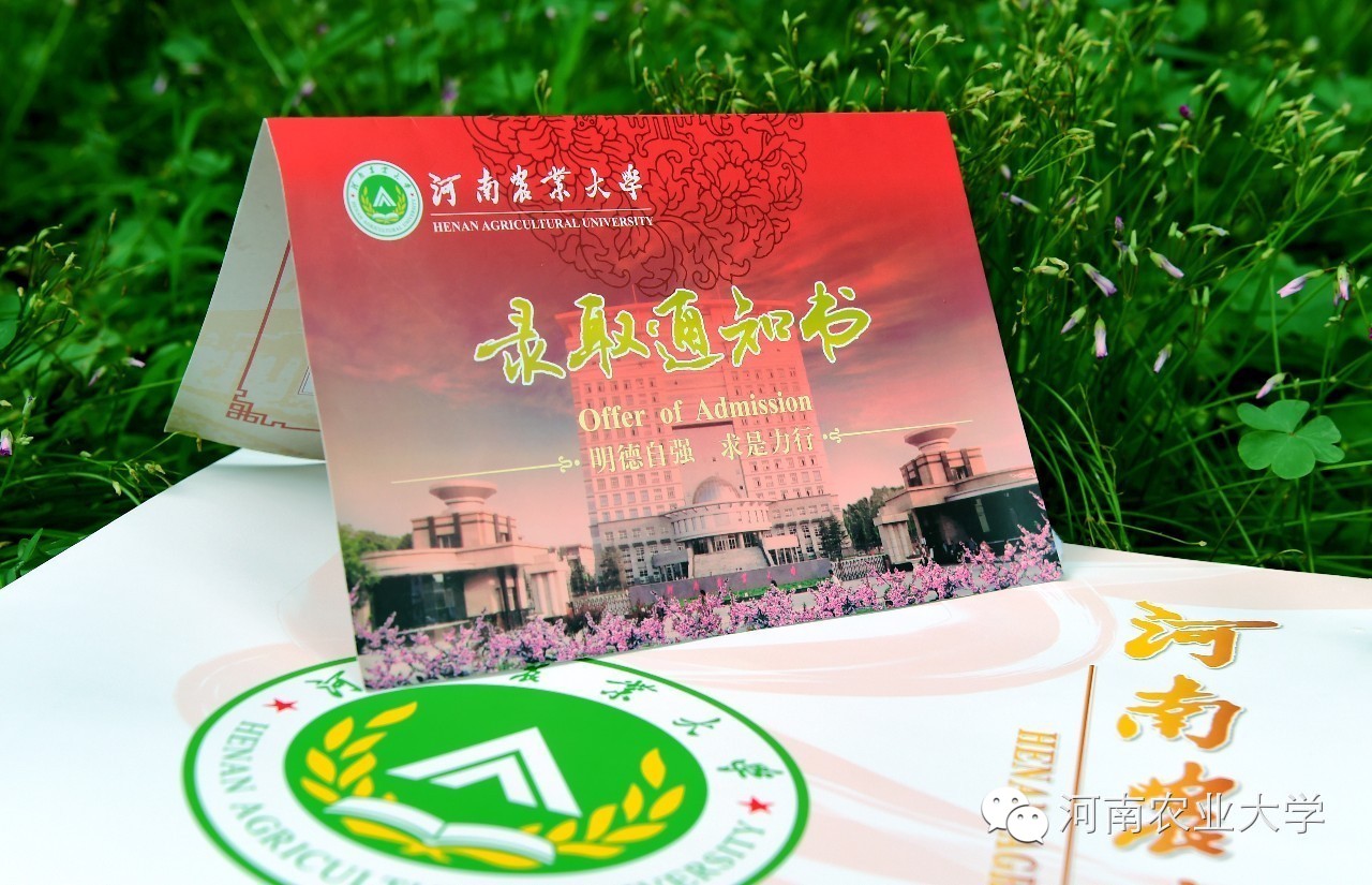 特别策划三分钟过后，农大小石榴马上开挂成老鸟！