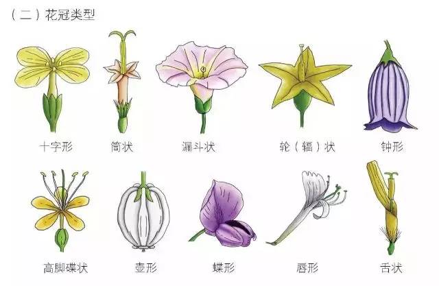 120年，你绝不可能错过的一种“川大之美”