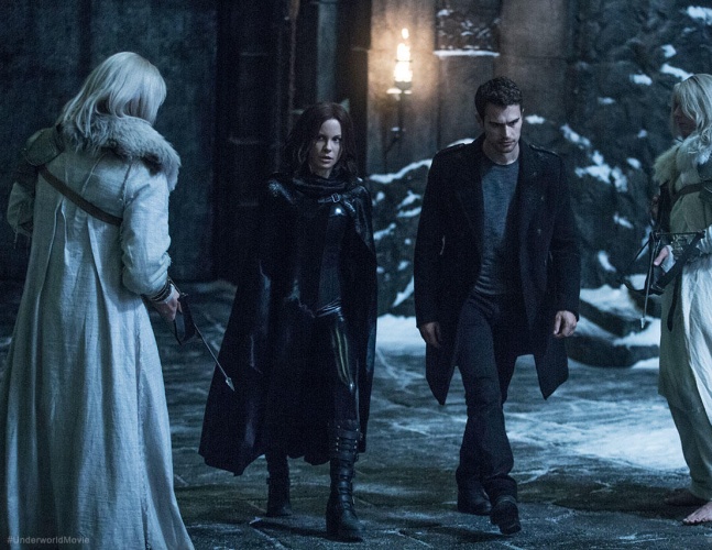 黑夜传说麦可塞琳娜,黑夜传说塞琳娜皮衣