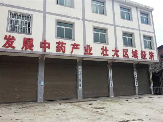 黄连今日行情分析,黄连会跌价吗