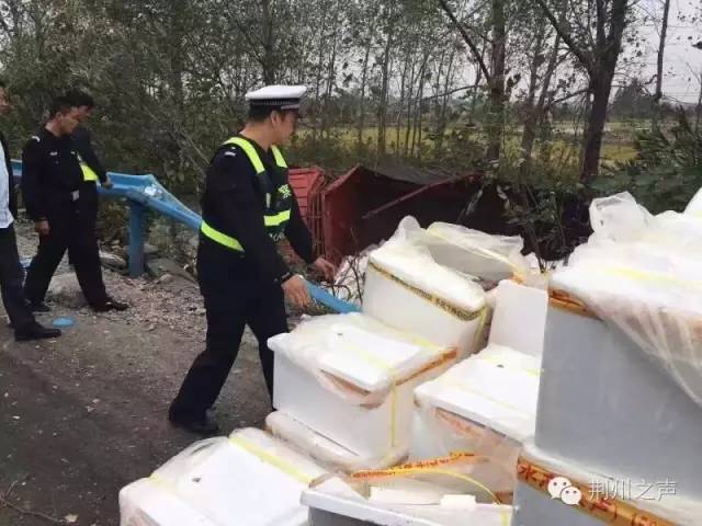 荆州突发！河豚鱼运输途中侧翻遭哄抢误食或身亡