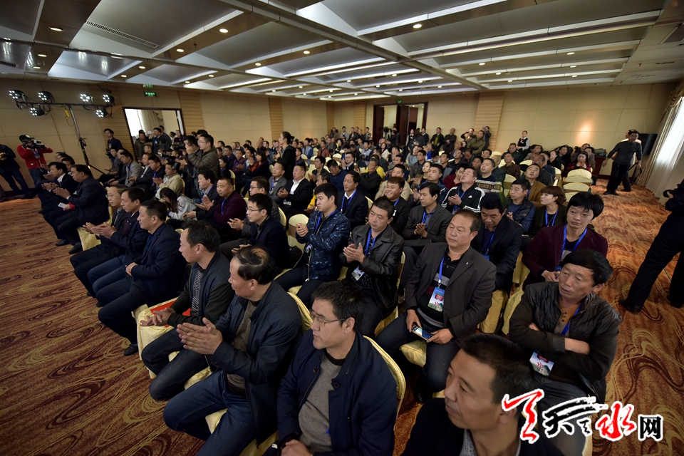 天水花牛苹果顺丰专场,天水花牛苹果发货现场