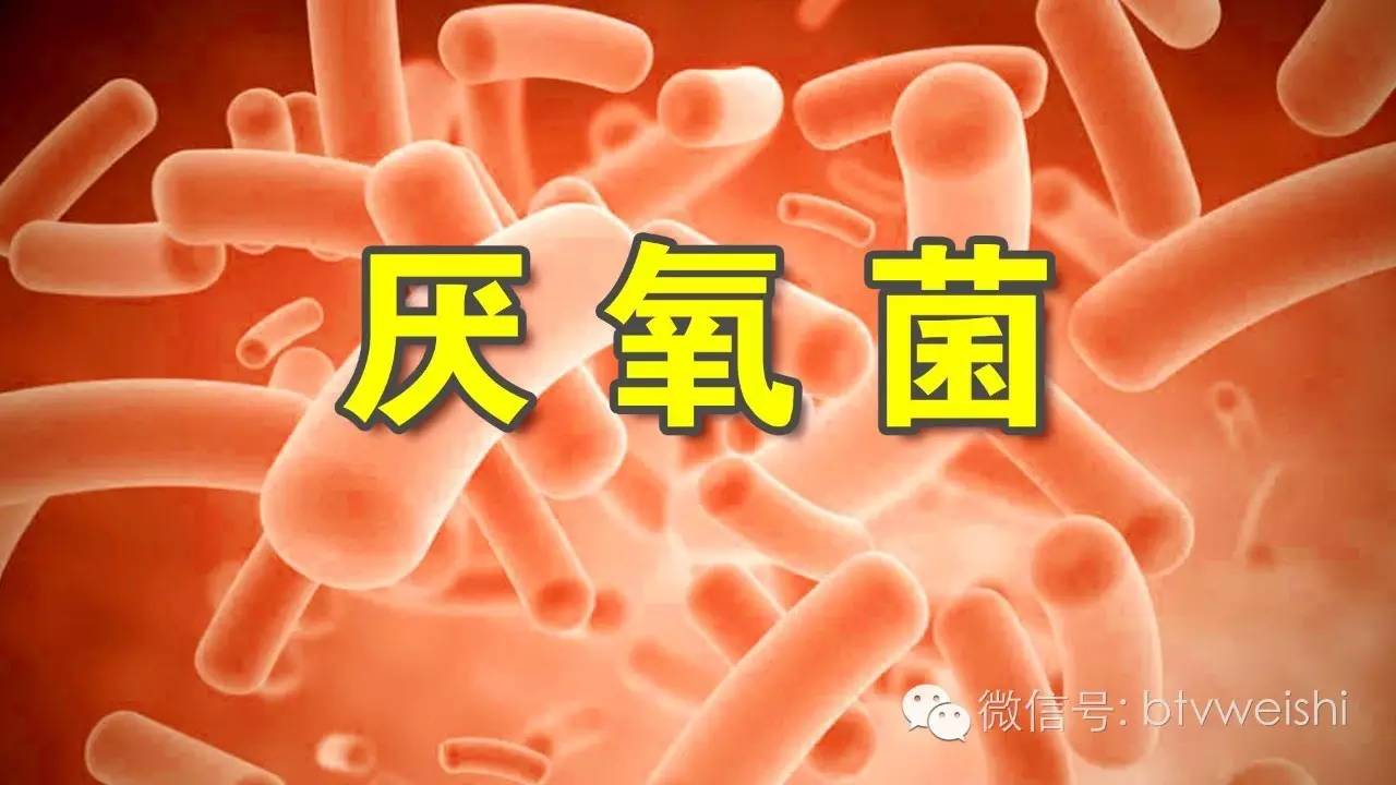 今日养生堂节目视频直播,养生堂今日视频直播