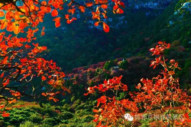 京娘湖风景区红叶丰收季联票,邯郸京娘湖红叶节