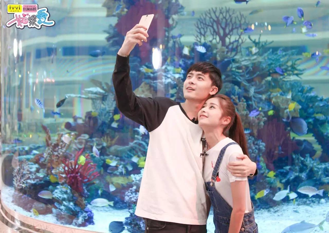 辛颖澳门塔比赛,辛颖吻戏完整版