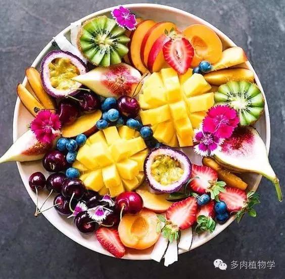 鍗佸ぇ鍦熻豹姘存灉,鍦熻豹鍚冨緱璧风殑鍥涚椤剁骇姘存灉