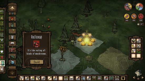 饥荒联机版攻略最详细教学,饥荒联机版芦苇有什么用