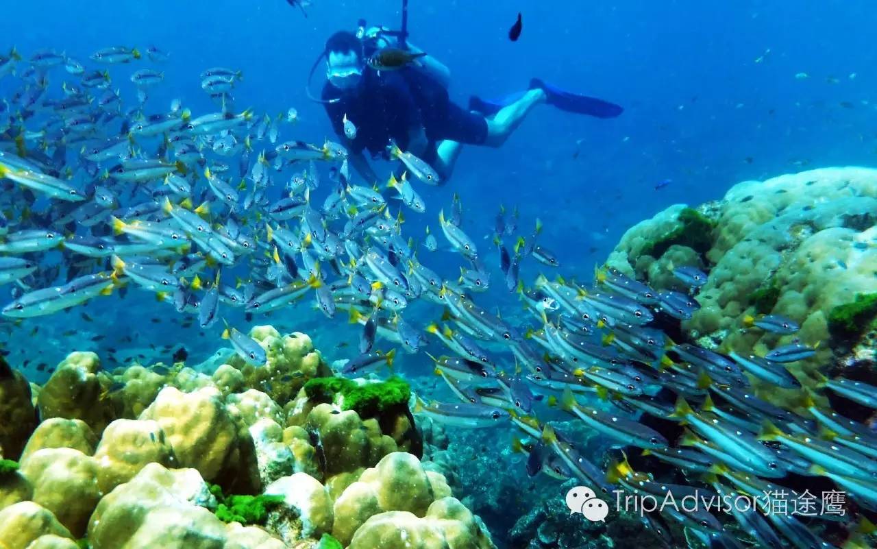 一次完美旅行需要掌握的几个要点,让旅行更完美的生活小妙招