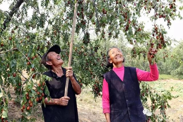 再甜再红都不要买，严重可致癌？！朋友圈都传疯了