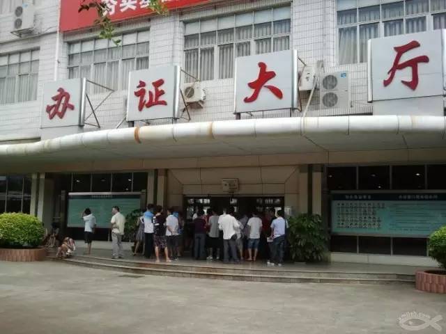 老司机12分扣完之后要怎样,老司机扣完12分