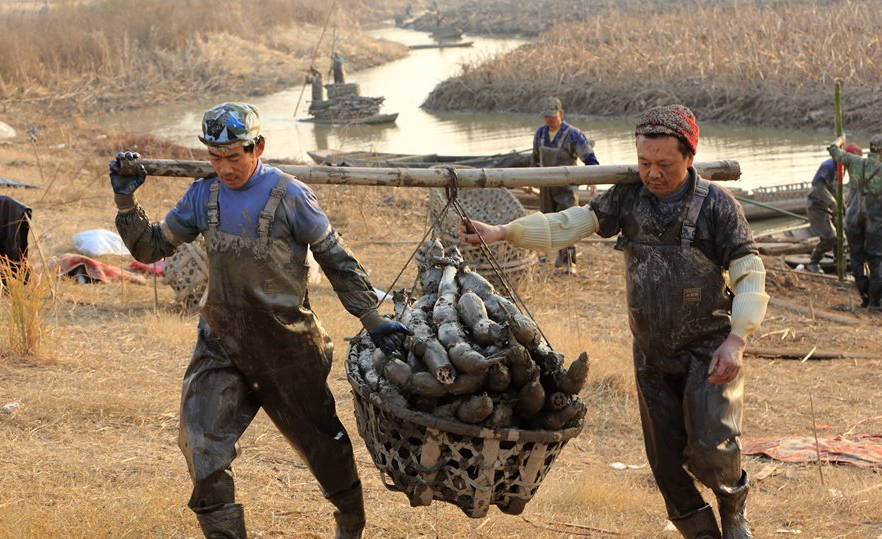 14岁流大量鼻血,儿童流鼻血喝什么煮水