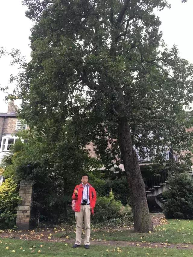 伊顿公学牛津,伊顿公学和剑桥