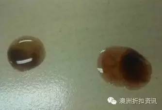 香港新闻报道广西蔓越莓,真的假的蔓越莓