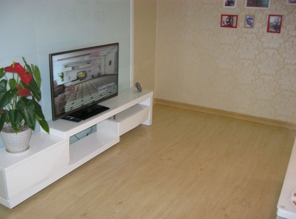 水地暖和电地暖使用哪个更好一点,水地暖和电地暖哪个较好