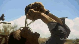 贝爷吃过最恶心的虫子,贝爷吃过十大恶心虫子