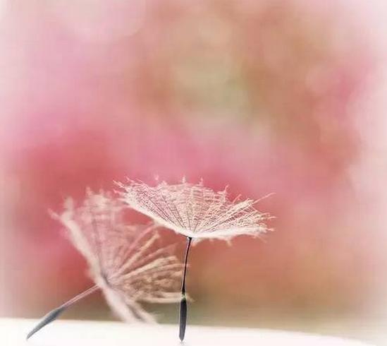 受孕率达到百分之三十容易怀孕么,把握最佳受孕阶段提高成功受孕率