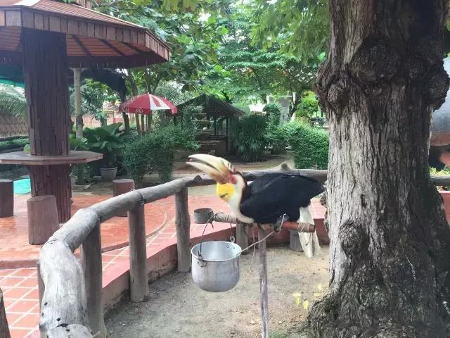 你不该错过的游戏,泰国自由行旅游攻略推荐