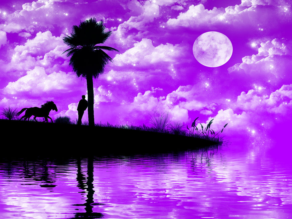 亦舒的婚姻经典语录,亦舒的喜宝经典语录