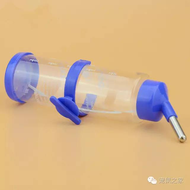 豚鼠各类饲养装备优缺点汇总之上篇