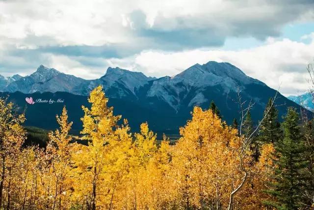 你们都错了，其实加拿大的秋季才是最厉害的时装大师