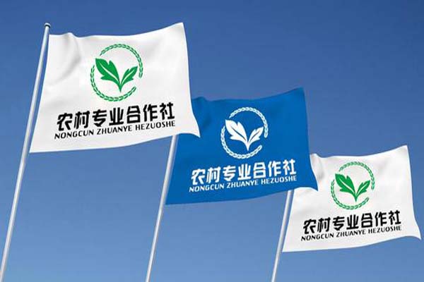 农民加入合作社后可以退出吗,农村成立合作社个人怎么办