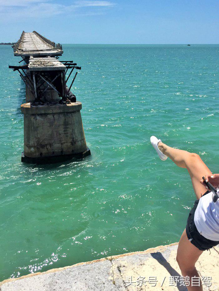 野鹅旅行,野鹅自驾无人区