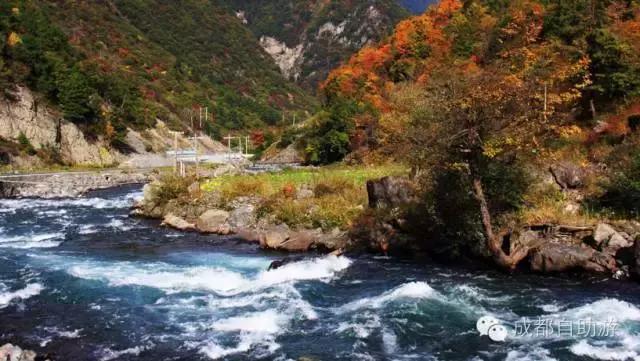 成都周边半小时车程左右看秋景,离成都200公里内景区