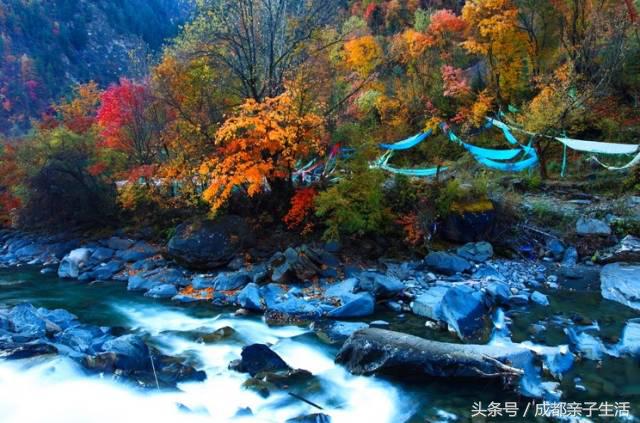 秋看落叶，夏玩水！成都边边观红叶圣地推介