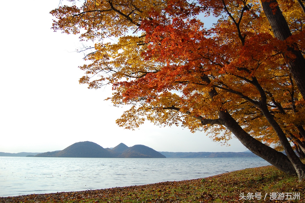 日本赏樱的最佳时间,日本赏枫最佳方法