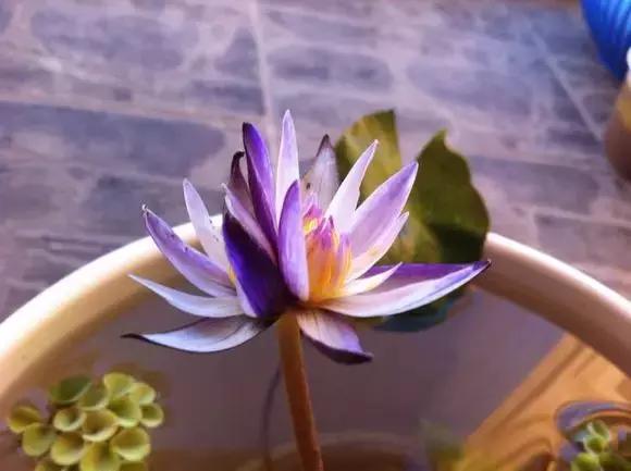 金点子助你成功,100个赚钱金点子